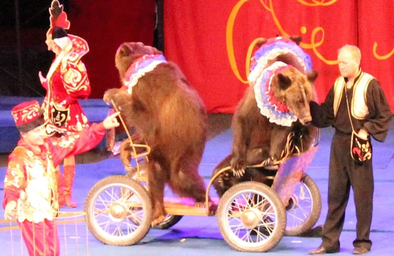 イベント写真